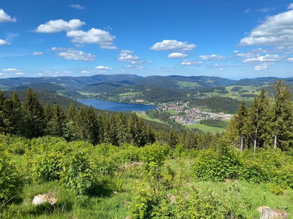 Gaestehaus Steiert Fewo Kuhbergblick Lenzkirch Exterior photo